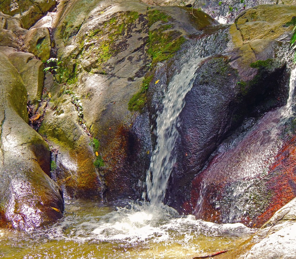 El proyecto de Ley de Aguas reduce la competencia del poder municipal en materia de servicio de agua potable y saneamiento