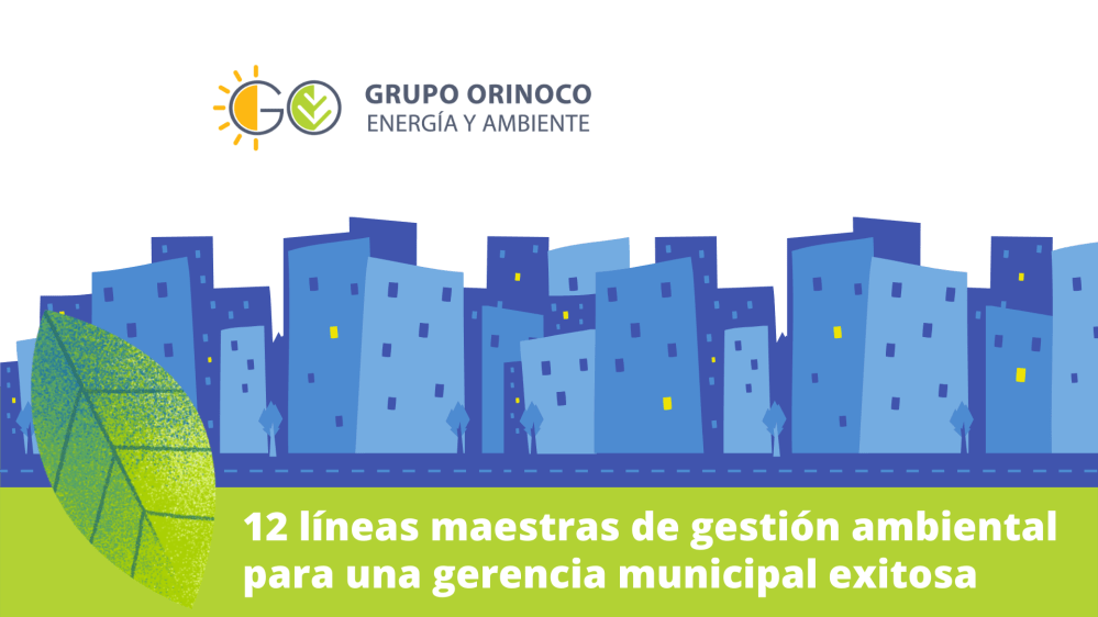 12 líneas maestras de gestión ambiental para una gerencia municipal exitosa